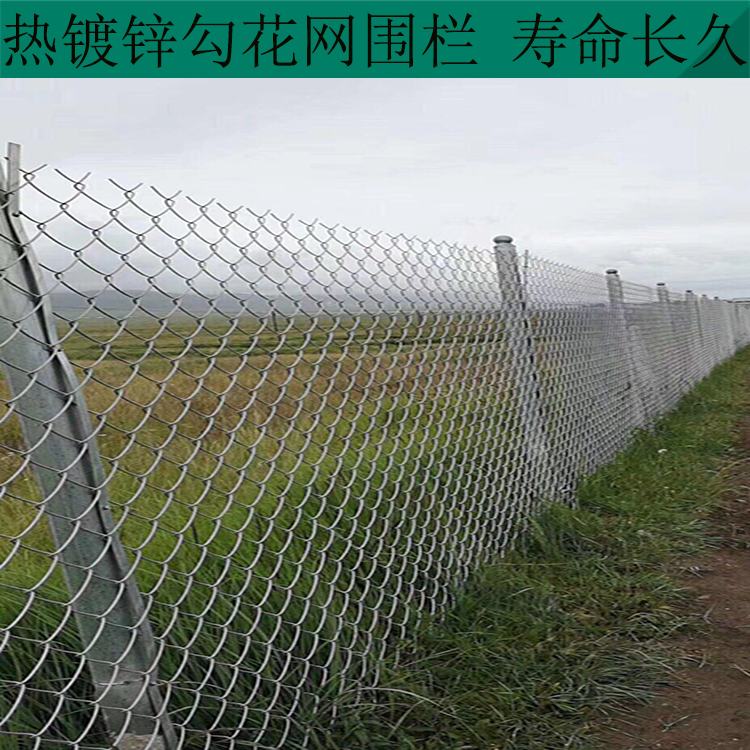 昆明勾花網隔離網圖片2