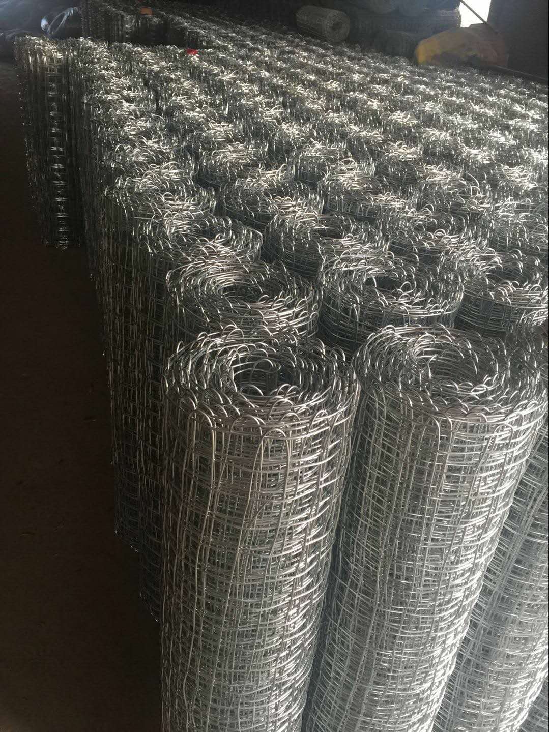 運城金屬經緯網鍍鋅煤礦經緯編織網