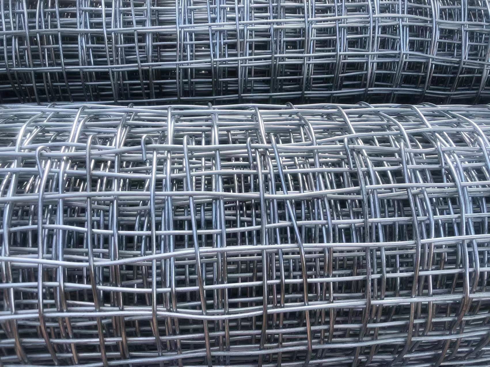 煤礦井下用經(jīng)緯形金屬網(wǎng)圖片2